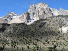 Field work in Kenya