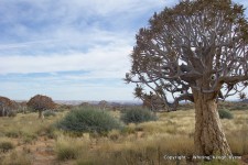 Namibia