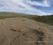 Field work in China 2011