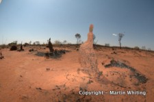 Field work in central Australia.
