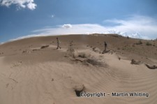 Field work in China 2012