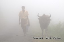 Field work in Sri Lanka 2012