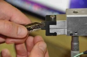 Eastern water skink bite-force trial