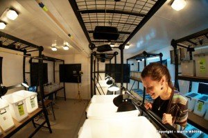Behavioural testing space