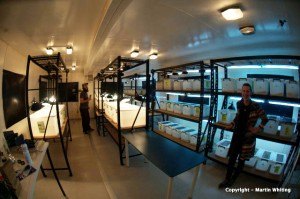 Indoor animal room