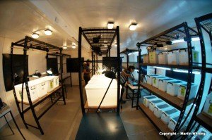 Cognition research space