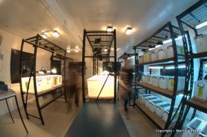 Main behaviour research room