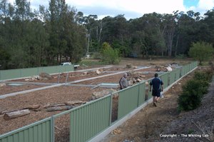 Construction team
