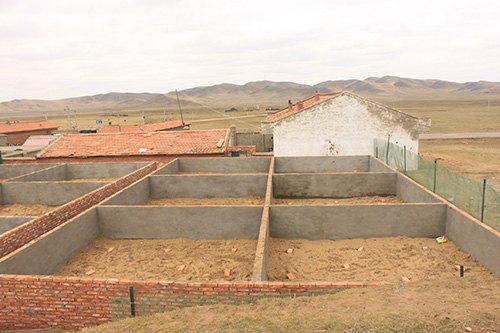 Lizard enclosures at Xiaman Conservation Station