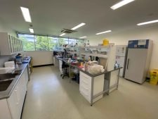 Laboratory work area