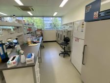 Incubators in the laboratory