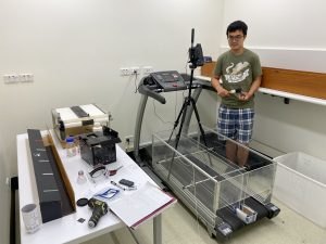 Lizard treadmill