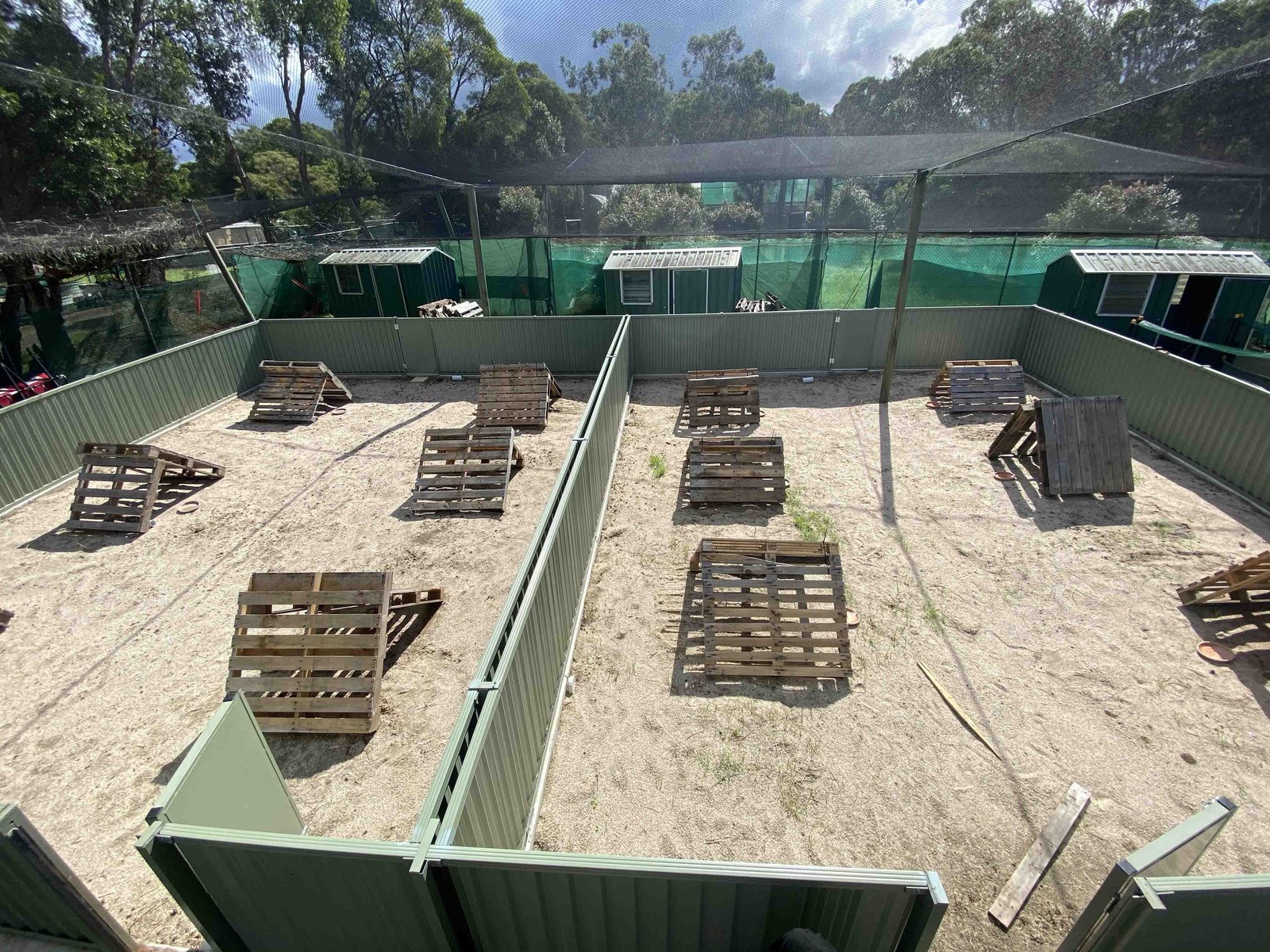 Panoramic view of lizard enclosures