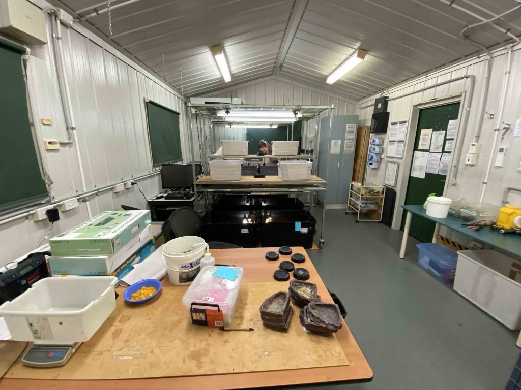 Mobile shelving in the lizard shed