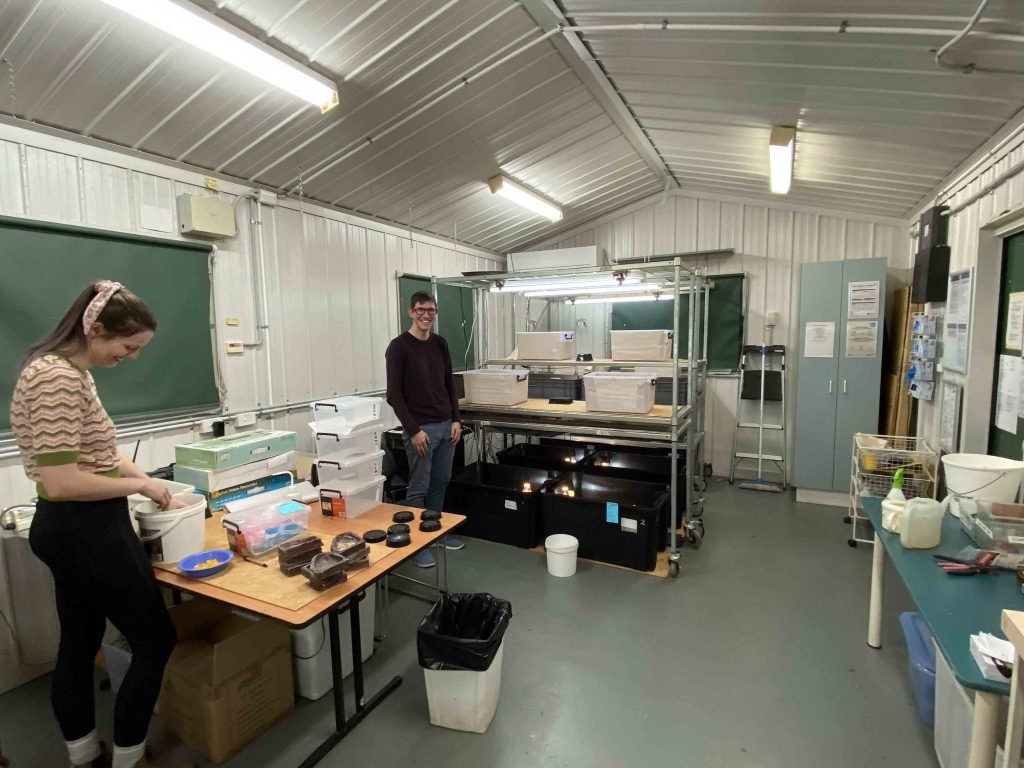 CCTV-equipped lizard room