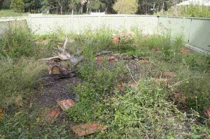 Lizard enclosure fencing