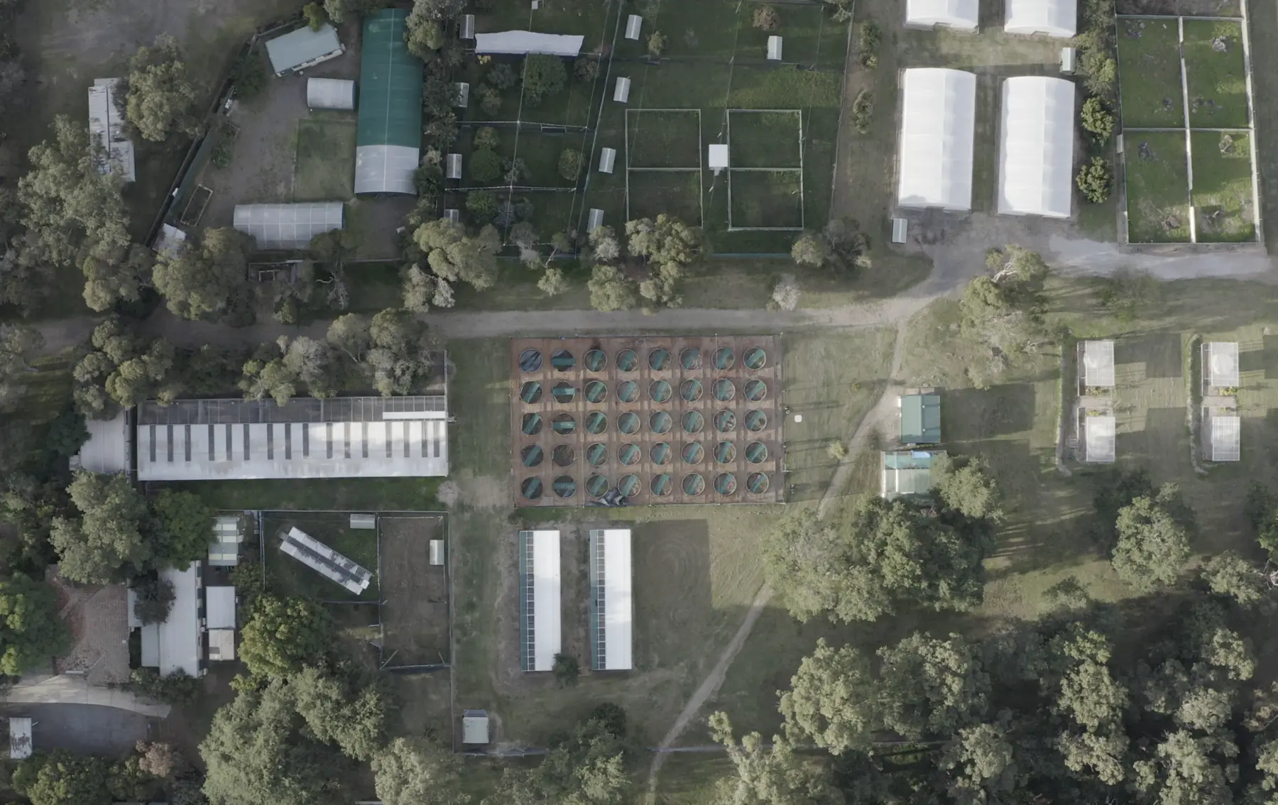 Aerial view of The Lizard Lab's outdoor enclosures and animal research facilities at Macquarie University