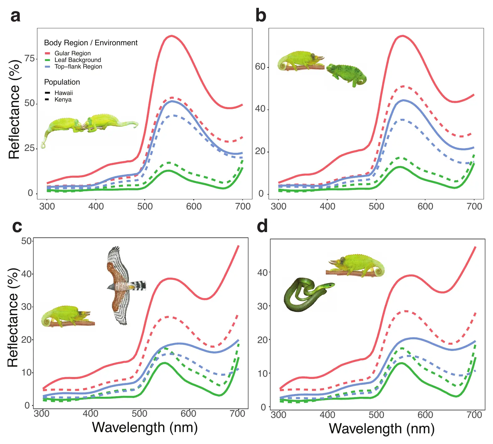 Research figures illustrating animal communication and visual signals