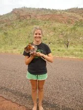Sam Tesoriero ran the toad cognition project for Martin in 2012.