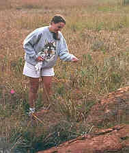 Sue McConnachie