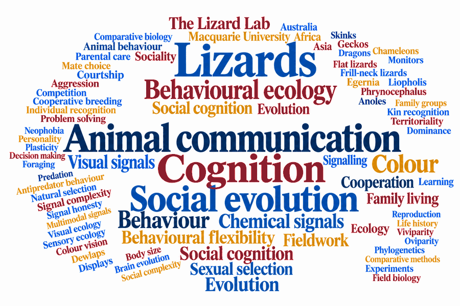 Word cloud of Lizard Lab research themes