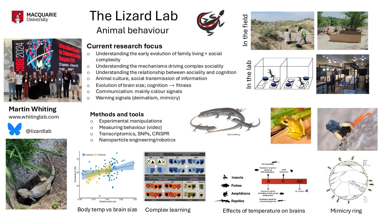 The Lizard Lab animal behaviour research overview, including current research, methods, fieldwork and laboratory work