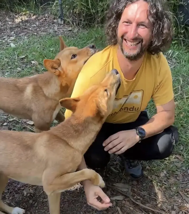Sergio Naretto with two dingoes
