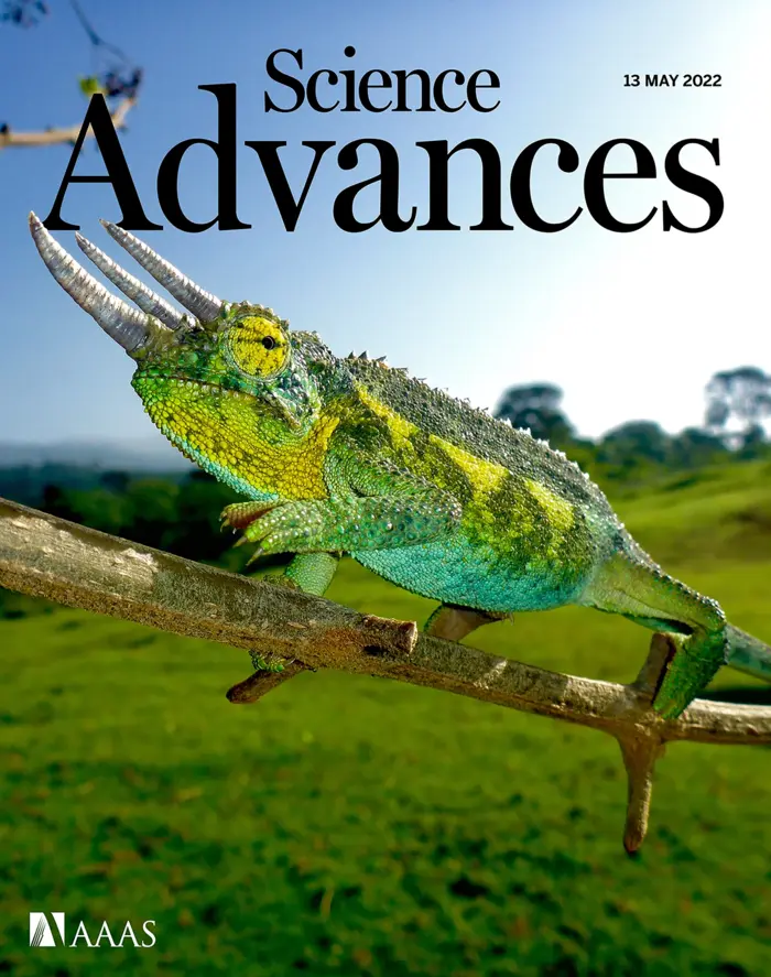 Science Advances cover featuring Lizard Lab research