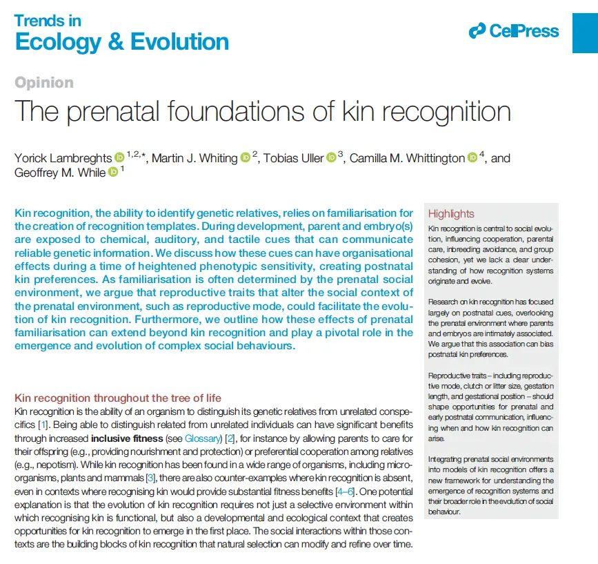 The prenatal foundations of kin recognition