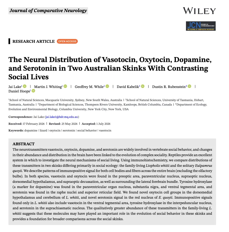 The neural distribution of vasotocin, oxytocin, dopamine and serotonin in two Australian skinks with contrasting social lives