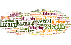 Lizard Lab word cloud based on titles and key words from about 35 papers.